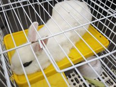 -车里行间汽车会员俱乐部·KSG隐形车衣星光店