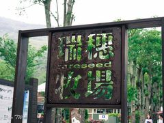 -瑞穗牧场