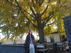 景观位-自如ZSPACE四合院艺术餐厅