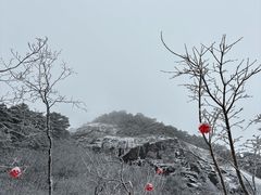 -黄山西海饭店-自助餐厅
