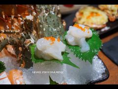 小青龙刺身-九井澤精致料理(金茂店)