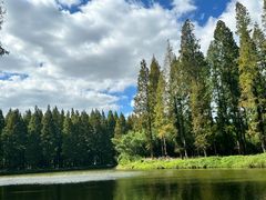 -黄海国家森林公园