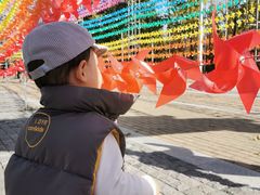 -八大关景区
