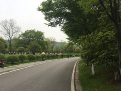 -南京市江宁方山