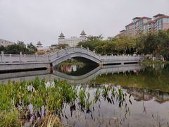-映月湖公园