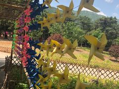 -北京西山国家森林公园