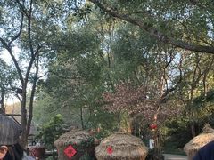 -天目湖山水园