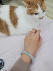 -六福珠寶(巴黎春天五角场店)