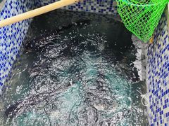 -全乐鱼馆·淳牌有机鱼直营店