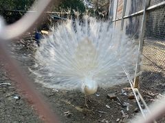-长廊欢乐园