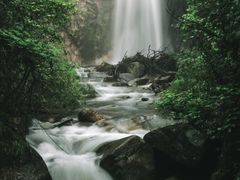 -九龙江国家森林公园