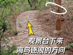 -西尖山公园