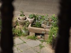 -马家大院