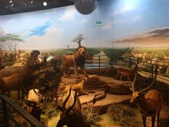 -陕西自然博物馆