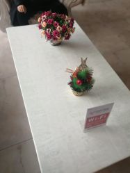 点击看大图 -潍坊艾玛妇产医院
