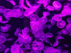 -多彩贵州城极地海洋世界