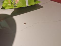 -东来土菜馆(民祥园路店)