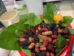 -铁山坪森林公园