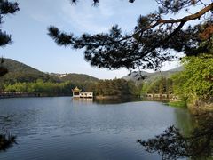 -庐山风景区花径公园