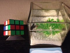 -北京崇文门桔子水晶酒店