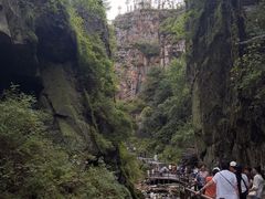 -茅兰沟国家森林公园