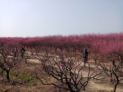 -西山风景区