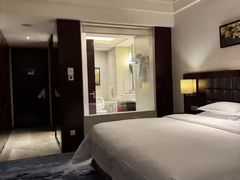 -上海浦东绿地铂骊酒店