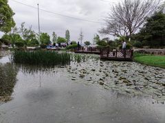 -铁山坪森林公园