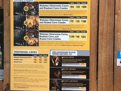 -怀托摩萤火虫洞