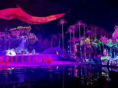-三亚红色娘子军演艺公园景区