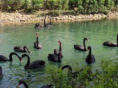 -长白岛森林公园