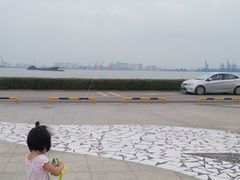 -海鸥岛