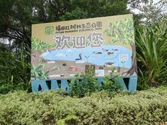 -福田红树林生态公园