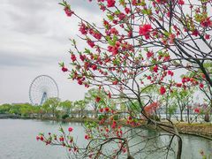 -无锡蠡湖国家湿地公园-蠡园