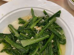 -新金盛·海鲜酒楼(盐田店)