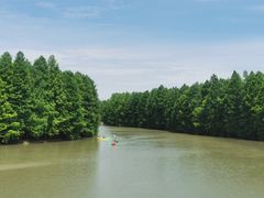 -上海海湾国家森林公园