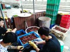 -庾氏龙虾馆(多弗汇店)