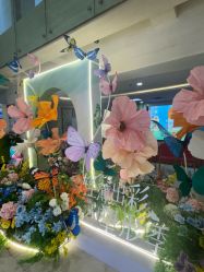 点击看大图 -石家庄苏亚美联臣医疗美容医院