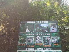 -西双版纳原始森林公园