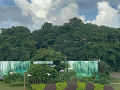 -深圳野生动物园