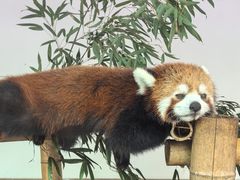 -无锡动物园·太湖欢乐园