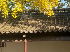 -苏州文庙(姑苏区)