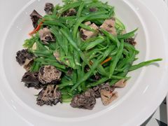 -新疆兵团食府清真(马连道店)