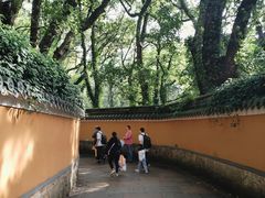 -普陀山风景名胜区-法雨禅寺