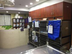 -安安宠医宠物医院·异宠·犬猫内科(岳阳分院)