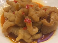 -同庆楼(滨湖万达广场店)