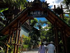 -海南槟榔谷黎苗文化旅游区