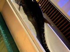 -枫伝料理居酒屋