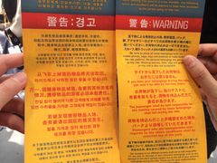 -飞天翼龙