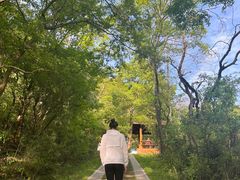 -青龙山国家森林公园